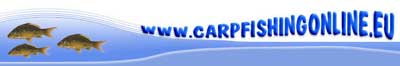 www.carpfishingonline.eu