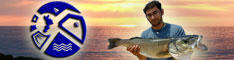 Banner 234x60, 6.4KB